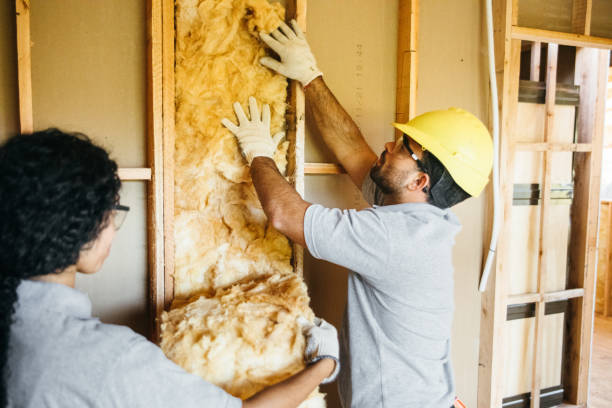 Types of Insulation We Offer in Vevay, IN